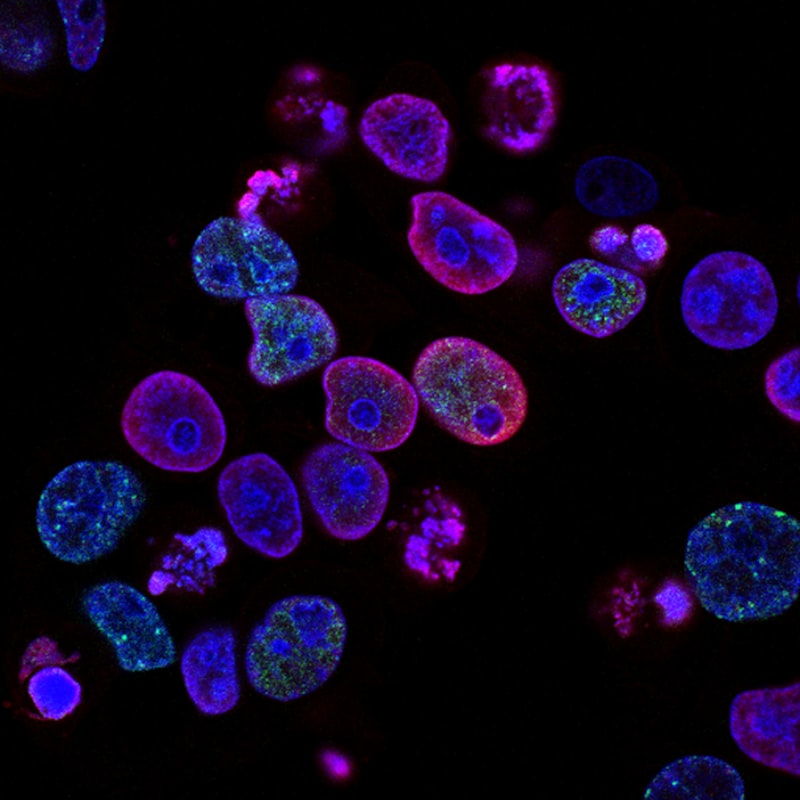 AI Drug Discovery